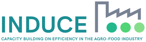 INDUCE Logo