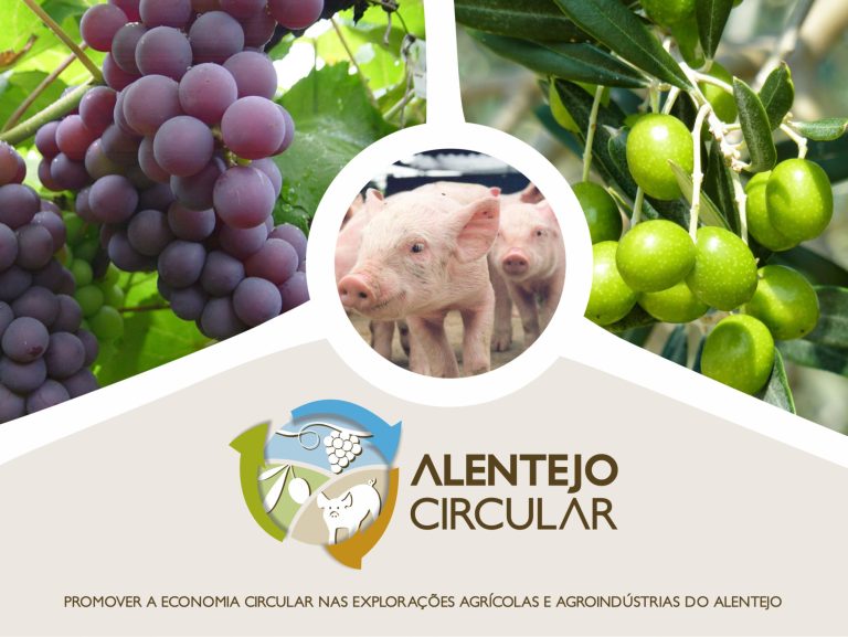 Alentejo Circular | Primeira Jornada de Reflexão