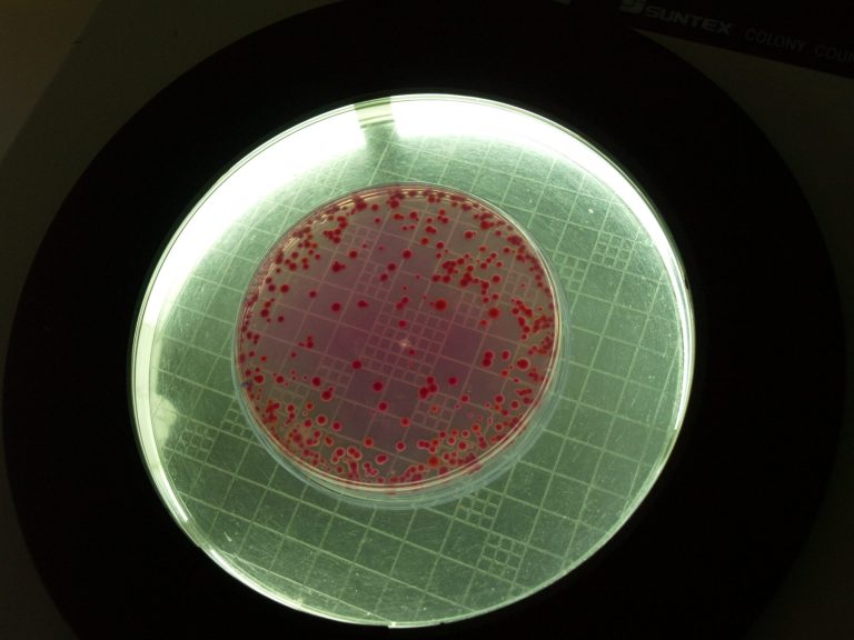 Grupo ISQ disponível para ajudar no combate à Legionella