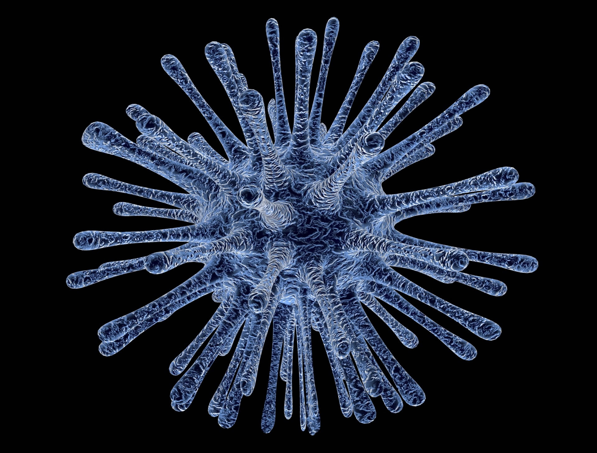 virus infected cells 213708