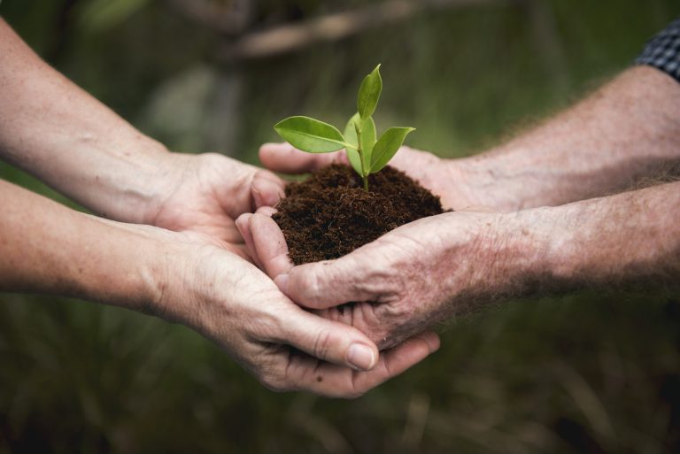 Sustentabilidade – entrevista a João Wengorovius Meneses