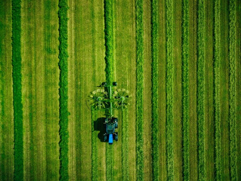 Conceber a agricultura sustentável do século 21