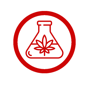 Projetos de Cannabis Medicinal