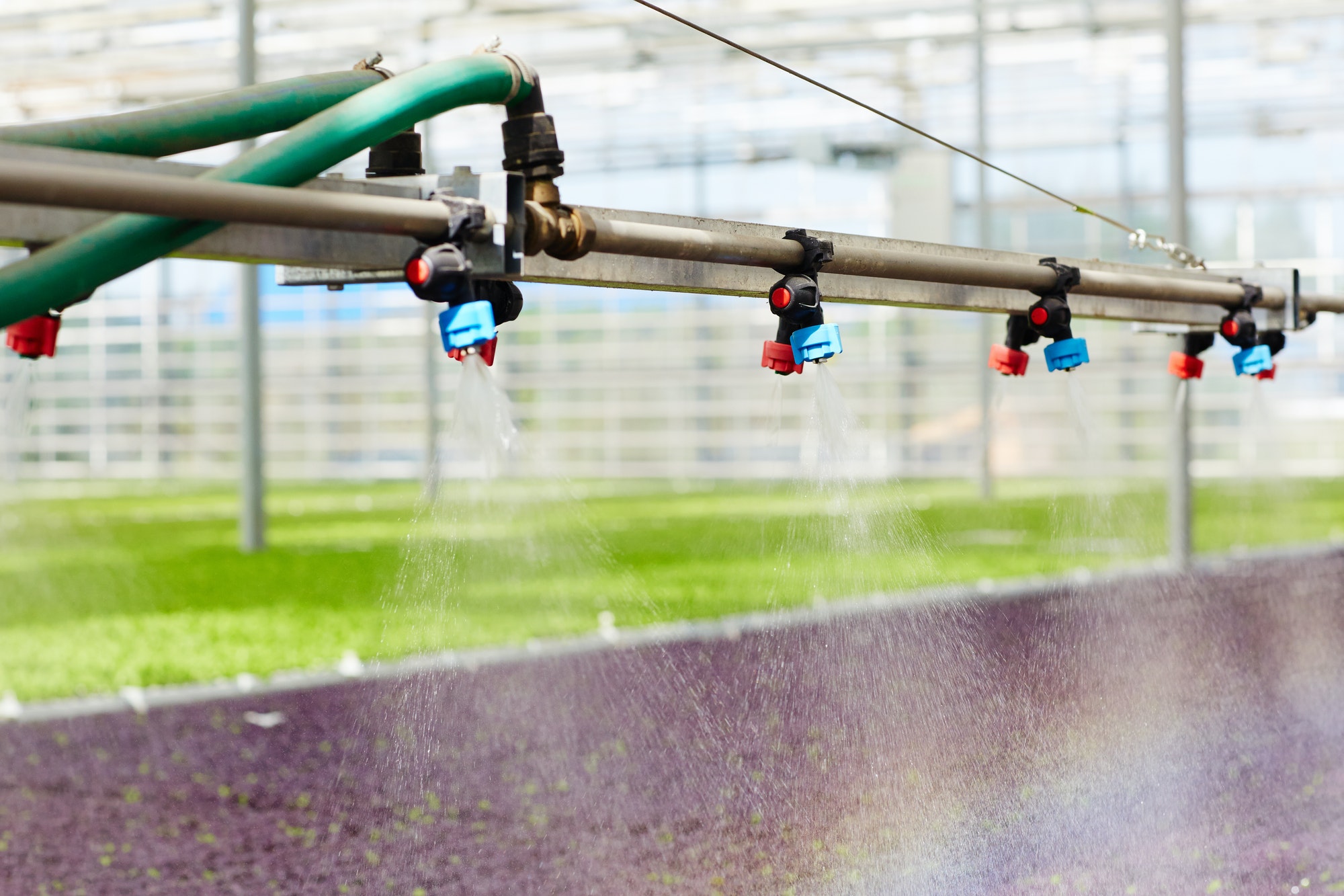 Irrigation in greenhouse