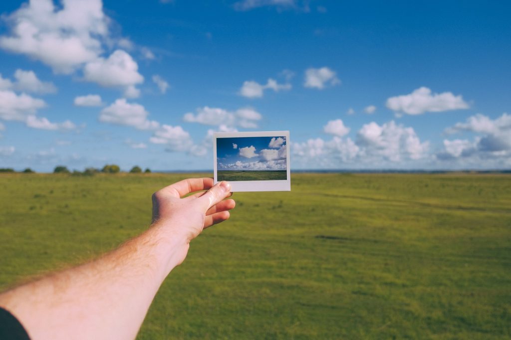 landscape within landscape