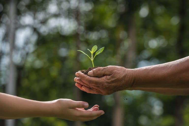 ISQ é a primeira entidade portuguesa a obter reconhecimento internacionalcomo external reviewer para ESG