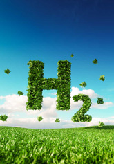 H2